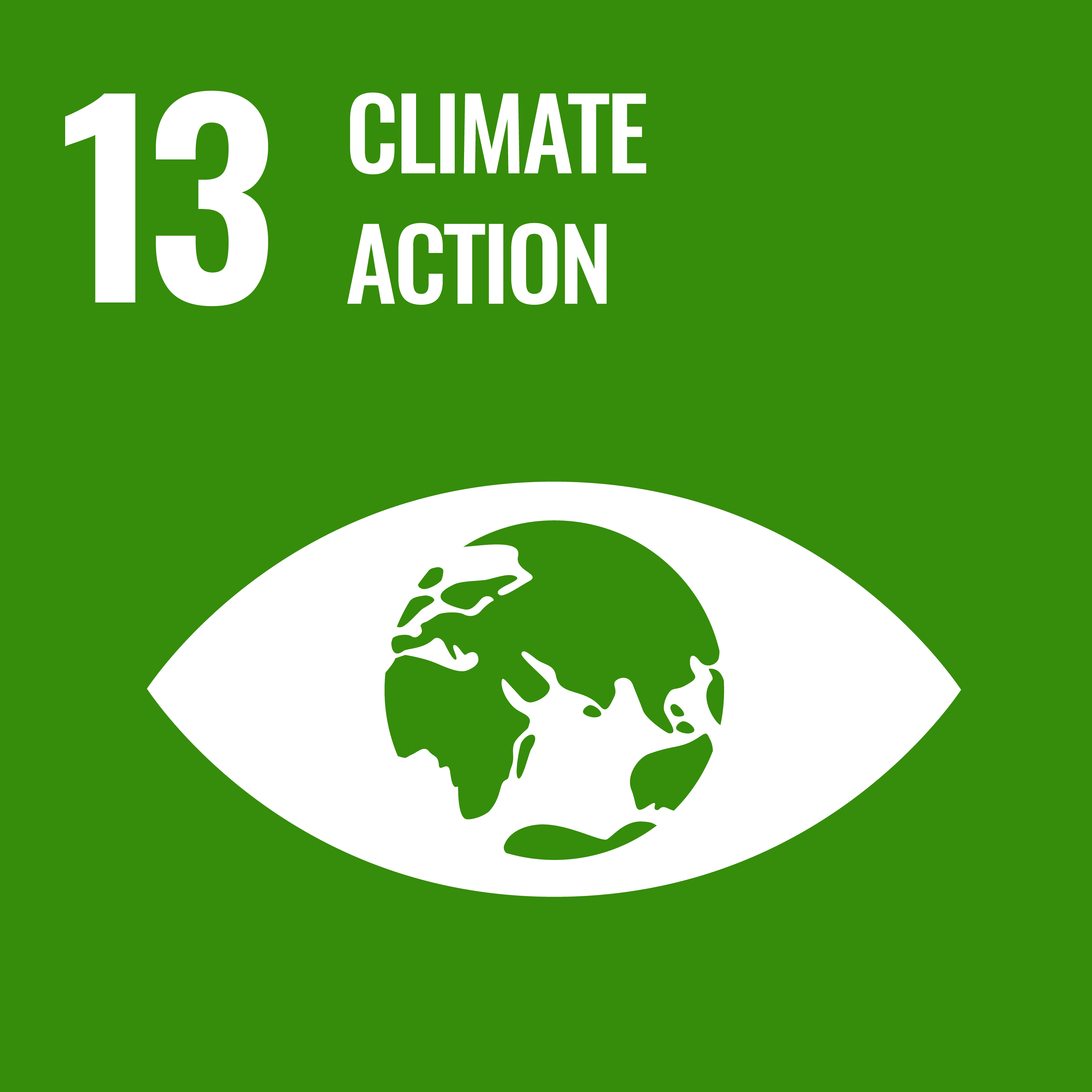 โลโก้ SDG 13